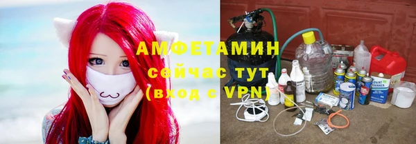гашик Бородино