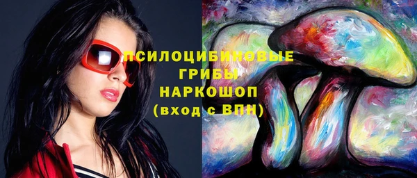 гашик Бородино