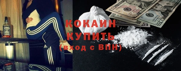 гашик Бородино