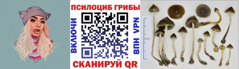 наркотики  Дигора  Псилоцибиновые грибы Magic Shrooms 